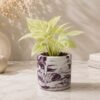 Ceramic Plant Pot